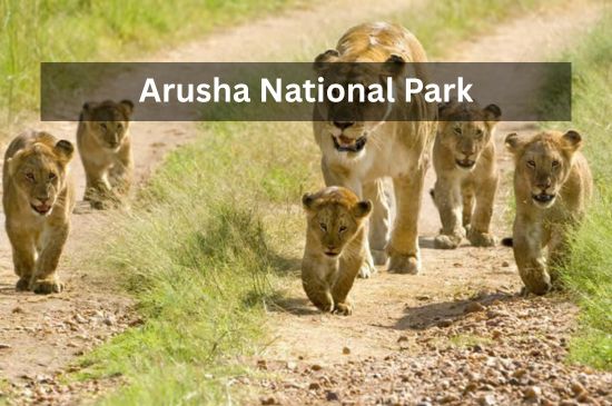 is-destination-image-1