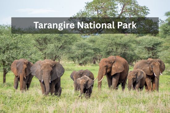 is-destination-image-3