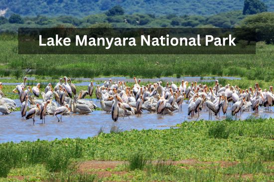 is-destination-image-4