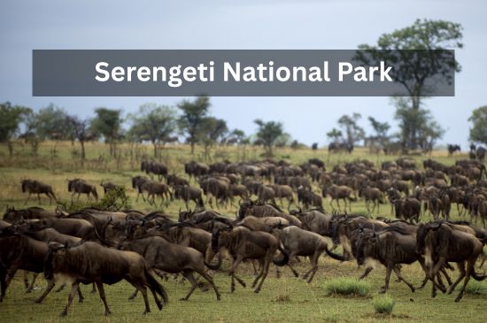 is-destination-image-6