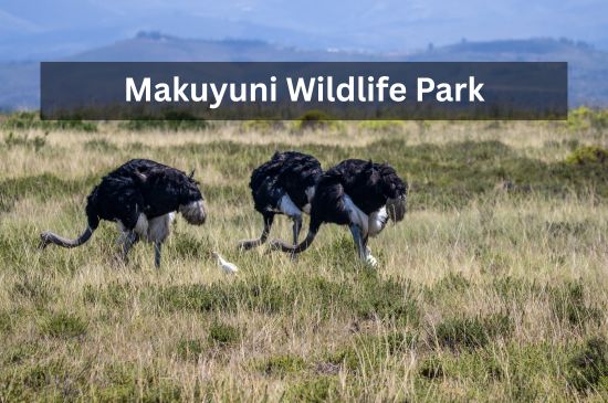 is-destination-image-8